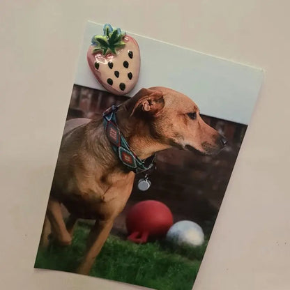 Unique Ceramic Handpainted Magnets, Fridge Magnets