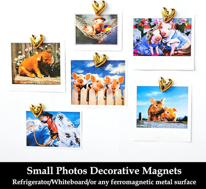 12PCS Refrigerator Magnets Gold Magnets for Fridge 0.83in Small