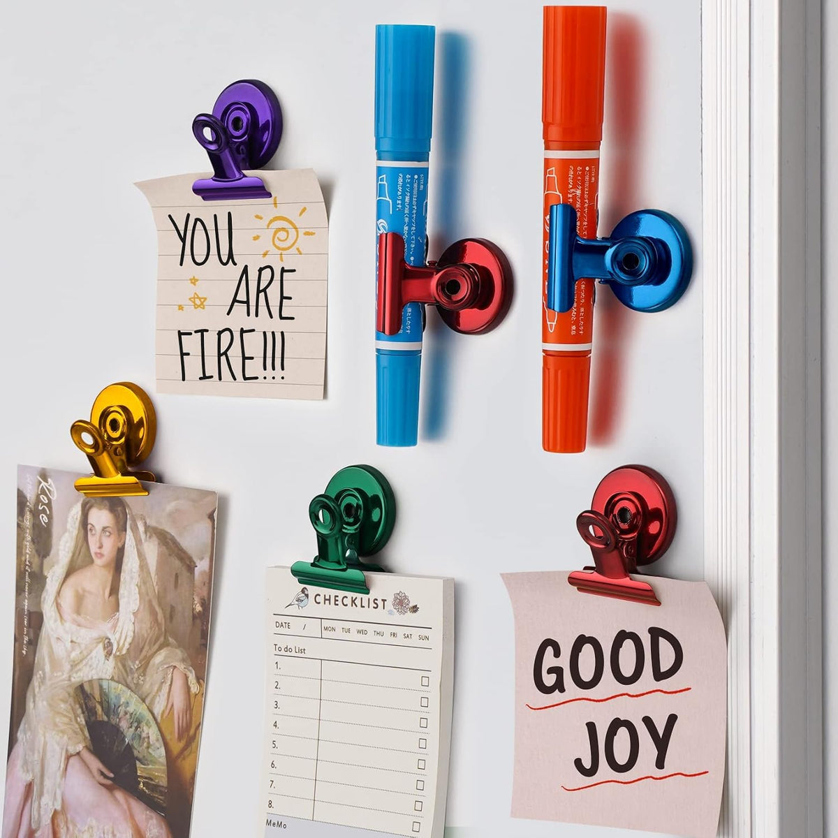 FINDMAG Fridge Magnets, Colorful Magnetic Clips for Fridge Notes, 12 Pack